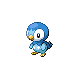 Piplup