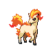 Ponyta