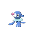 Popplio