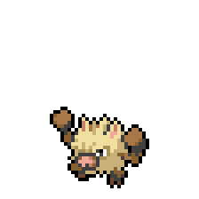 Primeape