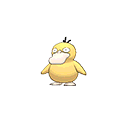 Psyduck