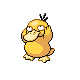 Psyduck