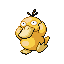 Psyduck