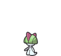 Ralts