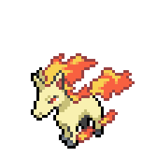 Rapidash