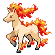 Rapidash