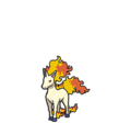 Rapidash