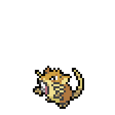 Raticate