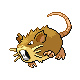 Raticate