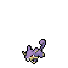 Rattata