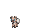 Rockruff (Own Tempo Rockruff)