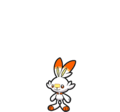 Scorbunny