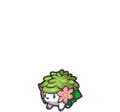 Shaymin (Land Forme)