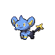 Shinx