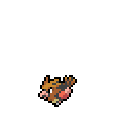 Spearow