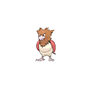 Spearow