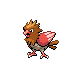 Spearow