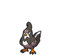 Staravia