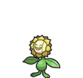 Sunflora