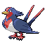 Swellow