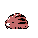 Swinub