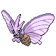 Venomoth