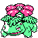 Venusaur