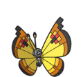 Vivillon (Continental Pattern)