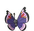 Vivillon (Elegant Pattern)