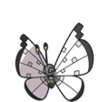 Vivillon (Icy Snow Pattern)