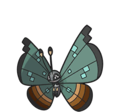 Vivillon (Jungle Pattern)