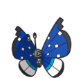 Vivillon (Polar Pattern)