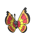 Vivillon (Sun Pattern)