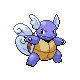 Wartortle