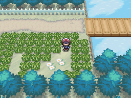 Winter in Pokémon Black & White