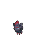 Zorua